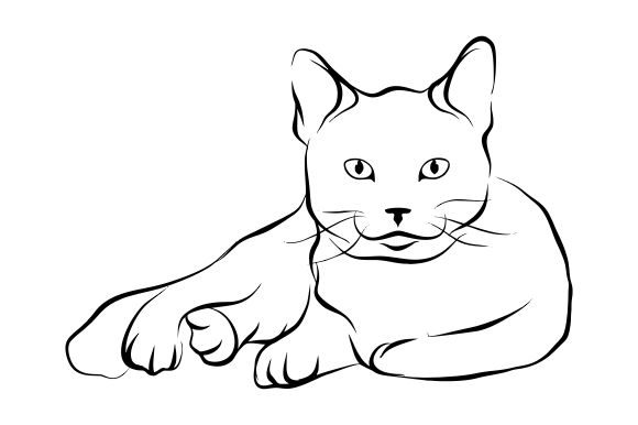 Download Cat Line Art Vector - Cat line art Collection