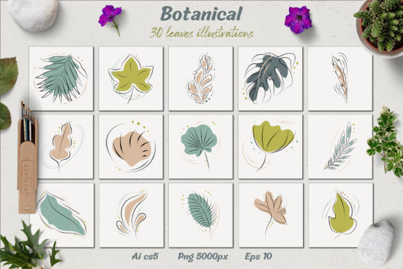 Download Botanical - Leaves Illustrations - Premium Bundle