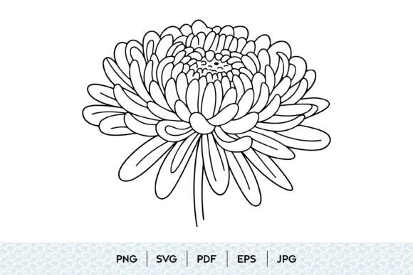 Download Chrysanthemum Flower Line Art SVG - Flower line art Collection