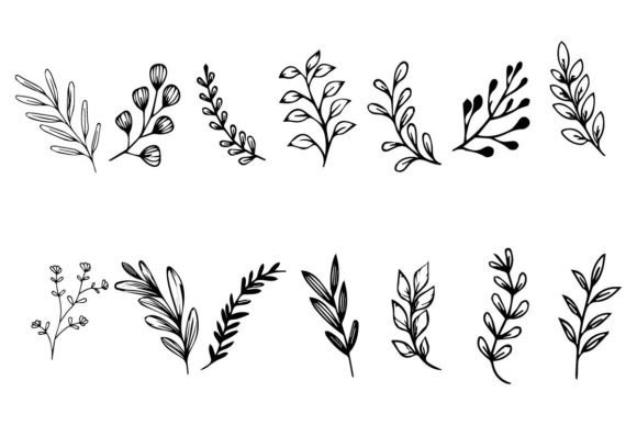 Download Botanical Leaf Wildflower Line Art - Flower line art Collection
