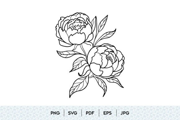 Download Peony Flower Line Art SVG - Flower line art Collection