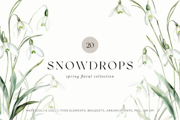 Download Snowdrops Watercolor Floral Collection - Snowdrops Collection
